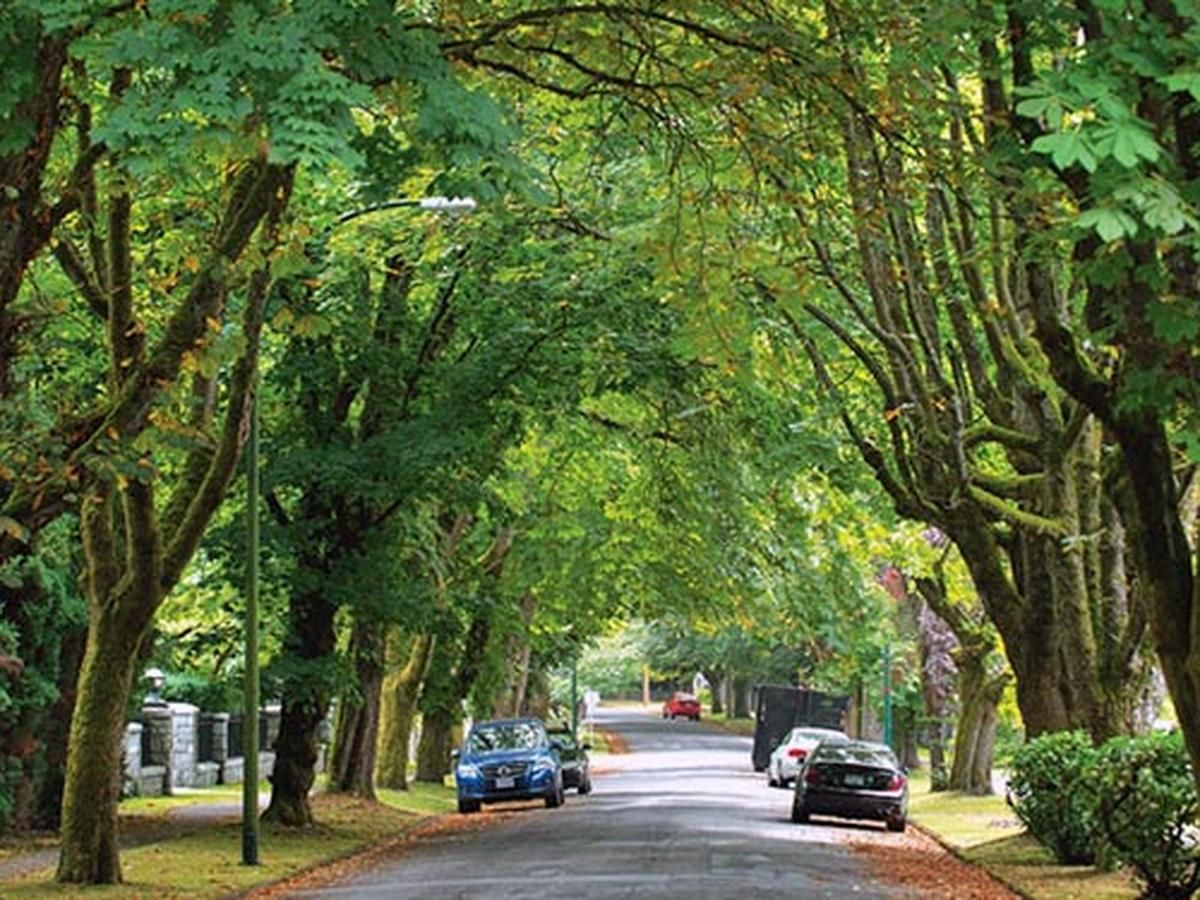 Heritage home street in Shaughnessy, Vancouver, surrounded by mature trees—ideal for discreet smart home integration.